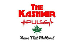 kashmirpulse.com