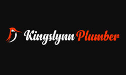 kingslynnplumber.com