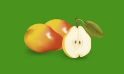 Teste de etiqueta (labeltest.com)