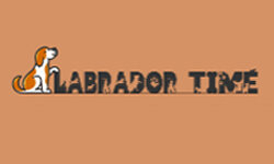 labradortime.com
