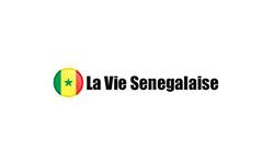 laviesenegalaise.com