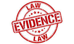 lawevidence.com