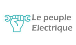 lepeupleelectrique.fr