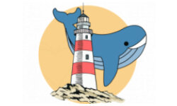 lepharedesbaleines.fr