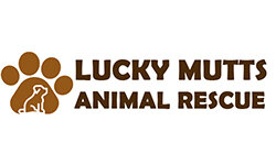 luckymuttsanimalrescue.com