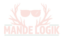 mandelogik.dk