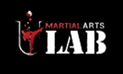 Harcművészeti labor (martialartslab.com)
