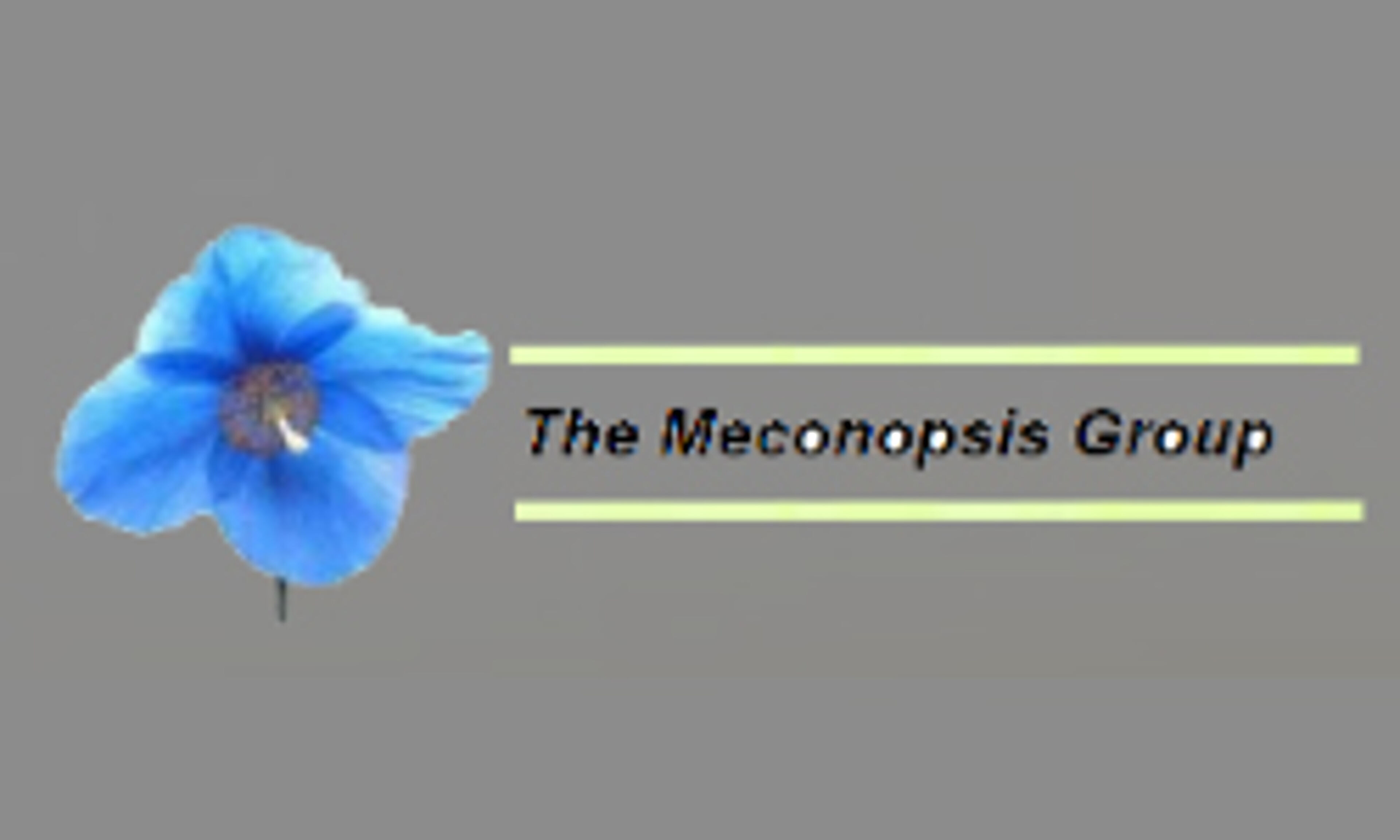 meconopsis.org