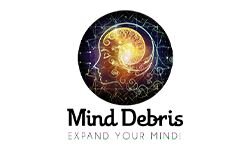 Журнал обломков разума (minddebris.com)