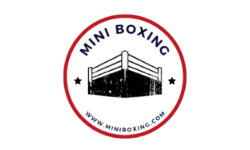 miniboxing.com