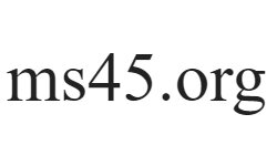 ms45.org