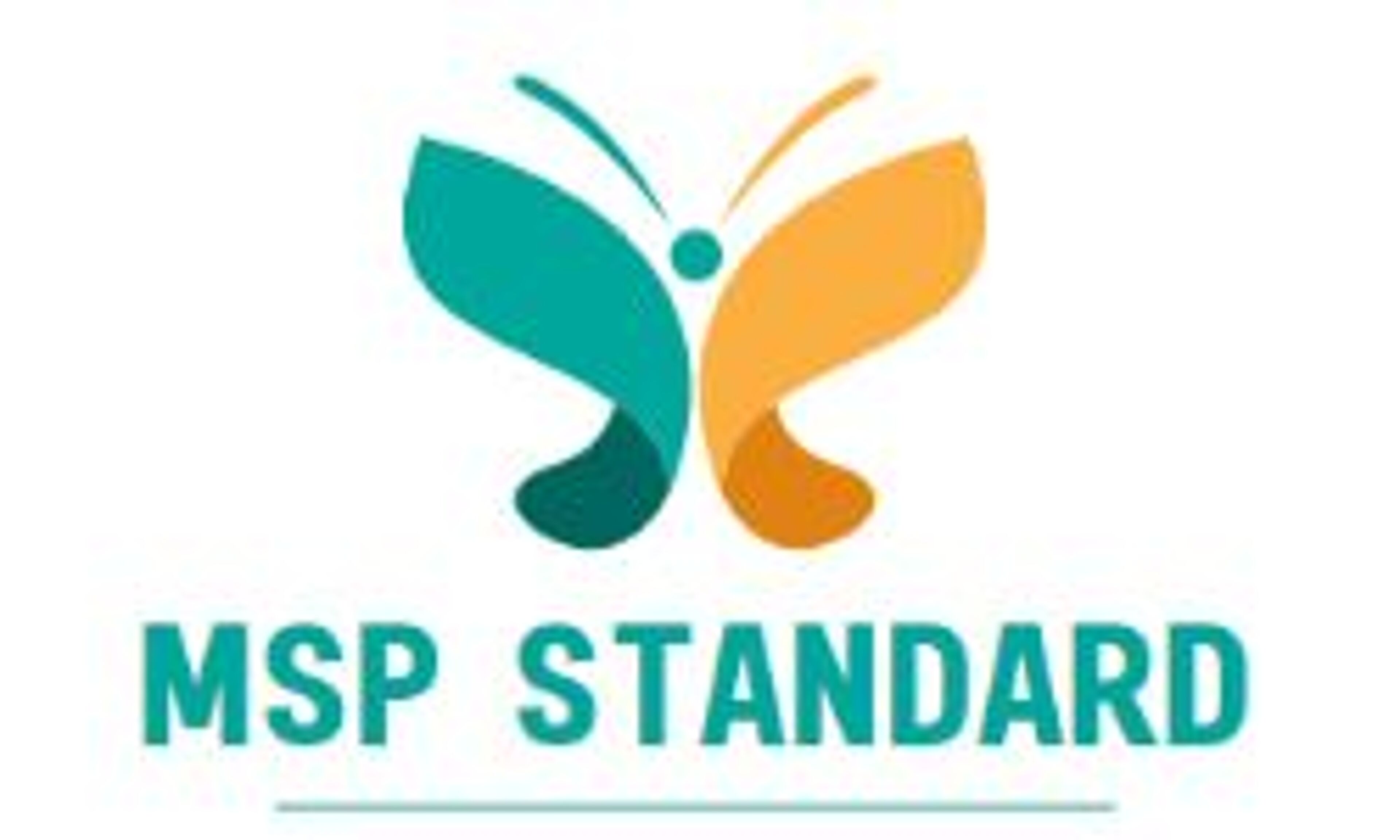 MSP-standardi (mspstandard.pl)