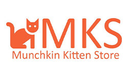 munchkinkittenstore.com