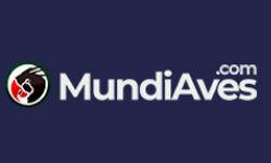 mundiaves.com