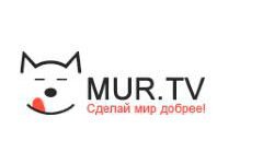 Мур TV (mur.tv)