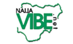 naijavibe.net