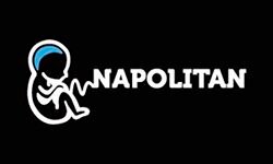 napolitan.it