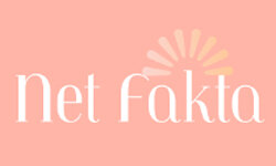 netfakta.dk