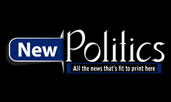 new-politics.net