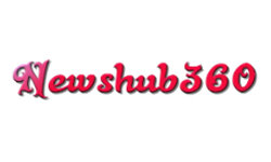 newshub360.net