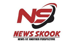 newsskook.com