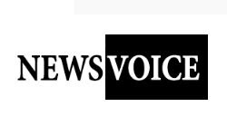 Голос новостей (newsvoice.se)