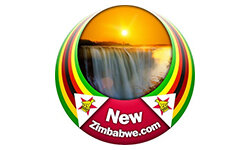 newzimbabwe.com