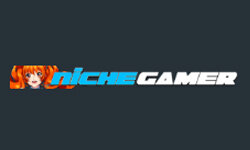 nichegamer.com
