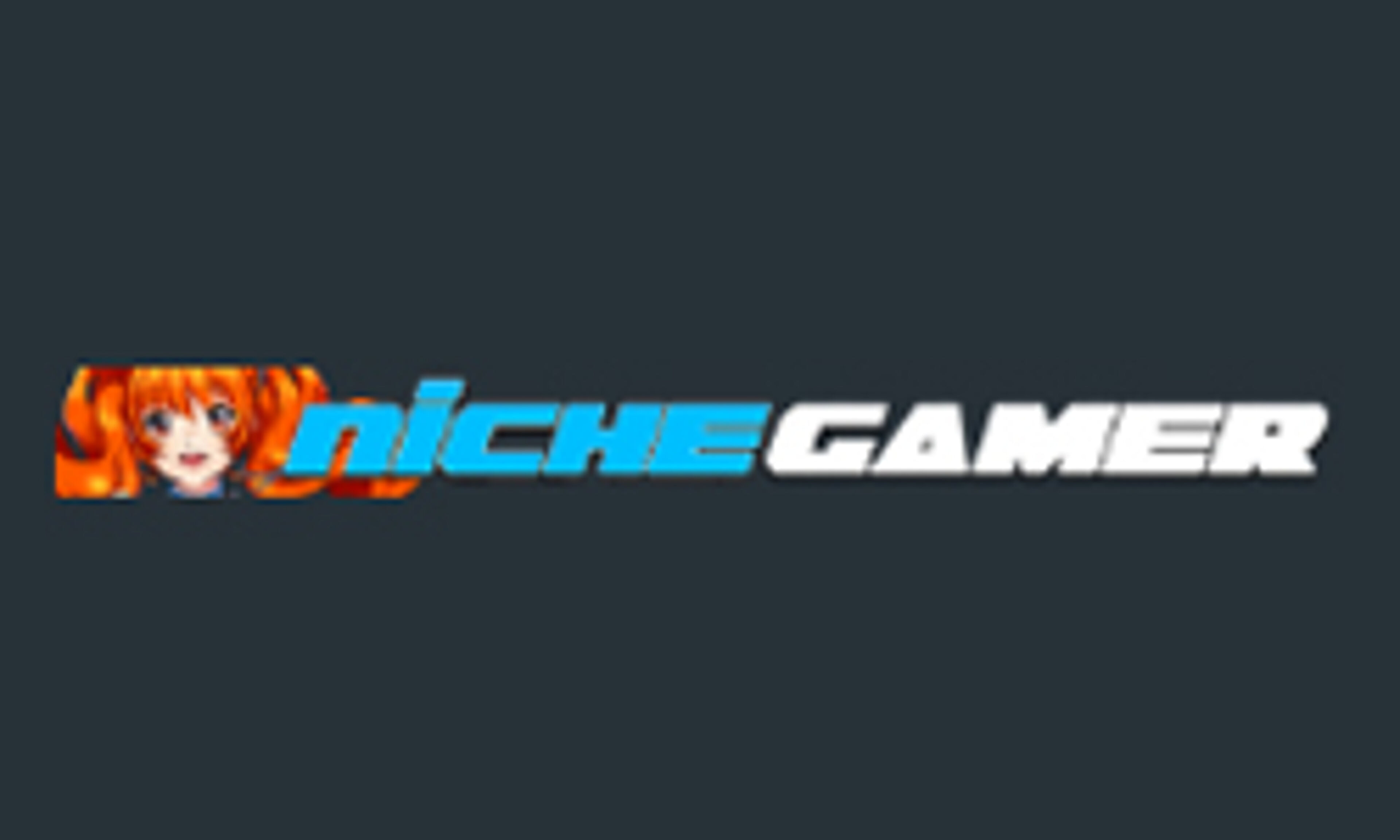 nichegamer.com