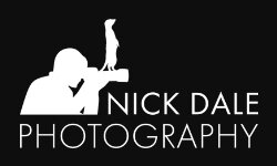 nickdalephotography.com