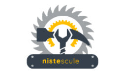 nistescule.ro