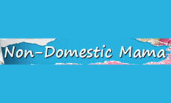 Ikke-hjemlig mamma (nondomesticmama.com)