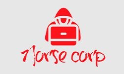 Корпус норвежцев (norsecorp.com)