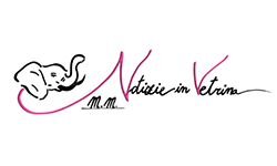 Notícias em destaque (notizieinvetrina.it)