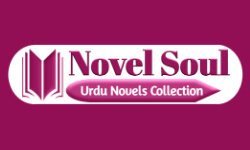 novelsoul.com