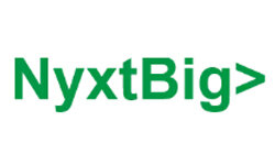 nyxtbig.com