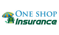 En butikkforsikring (oneshopinsurance.com)