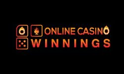 Выигрыши в онлайн-казино (online-casino-winnings.com)