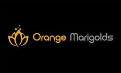 Narancssárga körömvirág (orangemarigolds.com)