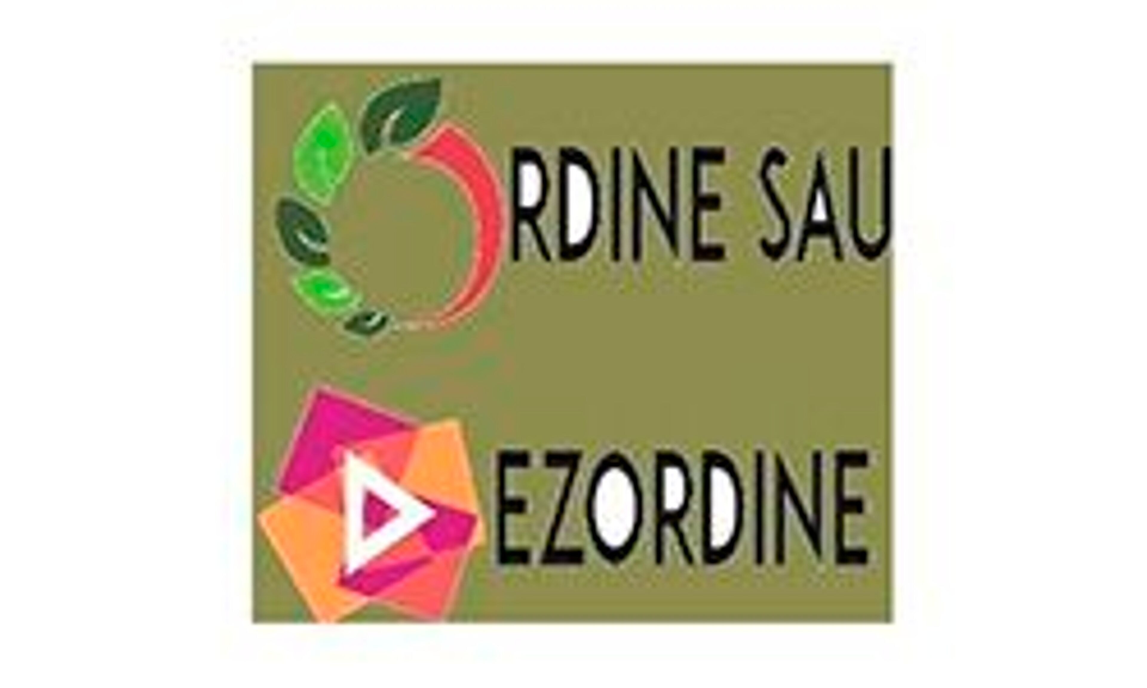 ordinesaudezordine.com