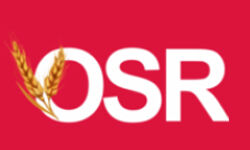 osr.kr.ua