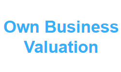 ownbusinessvaluation.com