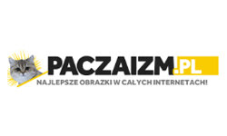 paczaizm.pl