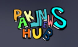 paknewshub.com