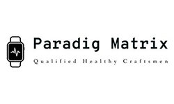 paradigmatrix.net