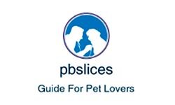 Pbslices (pbslices.com)