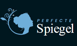 perfectespiegel.nl
