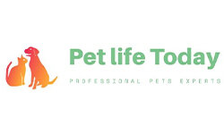 petlifetoday.my.id