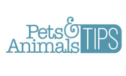 petsandanimalstips.com