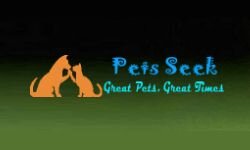 Домашние животные ищут (petsseek.com)